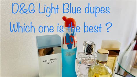 dupe light blue dolce gabbana|d&g light blue notes.